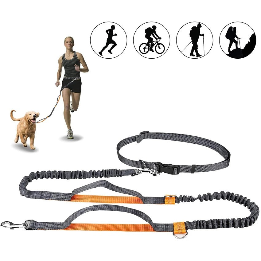Adjustable Pet Harness And Collar With Jogging Leash