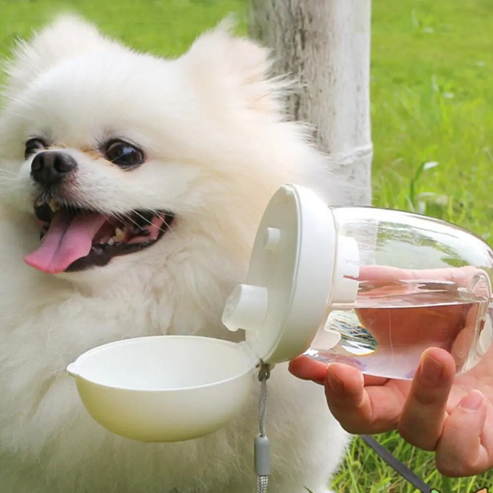 Portable Pet Water Bottle With Feeding Bowl For Outdoor Travel