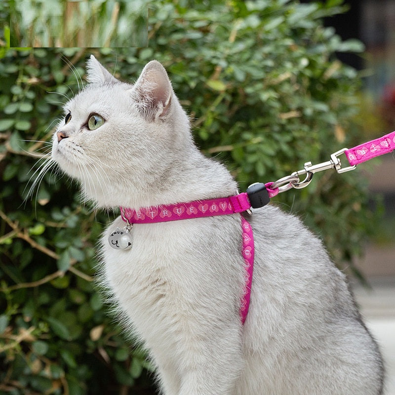 Pet Bell Chest Strap Harness Leash Vest Walking Rope