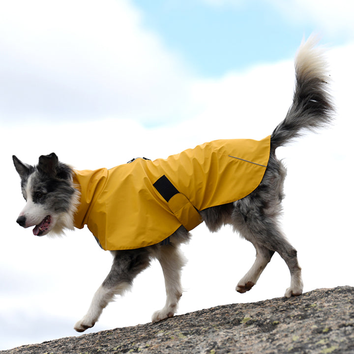 Waterproof Windproof Pet Shell Jacket For Outdoor Rain Protection Wear