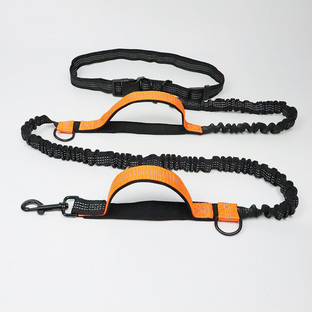 Adjustable Pet Harness And Collar With Jogging Leash