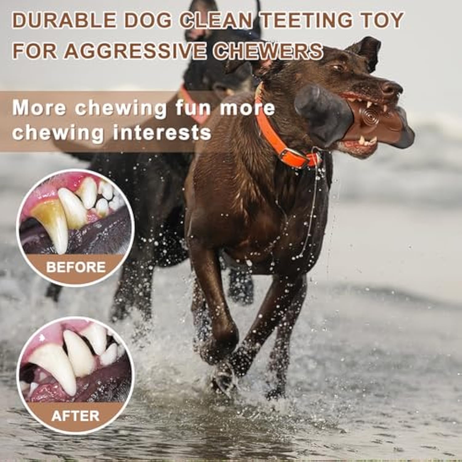 Durable Pet Chew Toys For Aggressive Chewers Large Breed